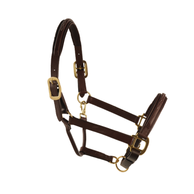 Fancy Raised Adjustable Padded Halter